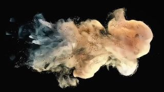 Toshiba Developer Powder D5070 500g برای e-STUDIO